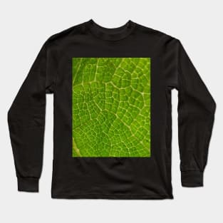 Leaf Scales Long Sleeve T-Shirt